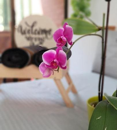 Moradia Laureles Medellin Apartment Ngoại thất bức ảnh