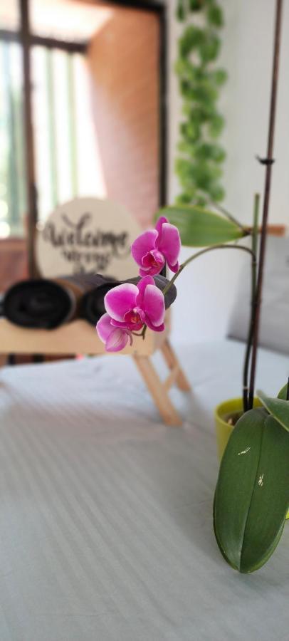 Moradia Laureles Medellin Apartment Ngoại thất bức ảnh
